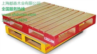 绿色循环下的木业深耕 木托盘、木头与木方的回收生态